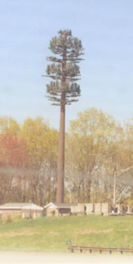 Mysterious Metal Trees Growing in New Jersey!